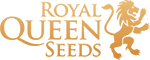 Royal Queen Seeds