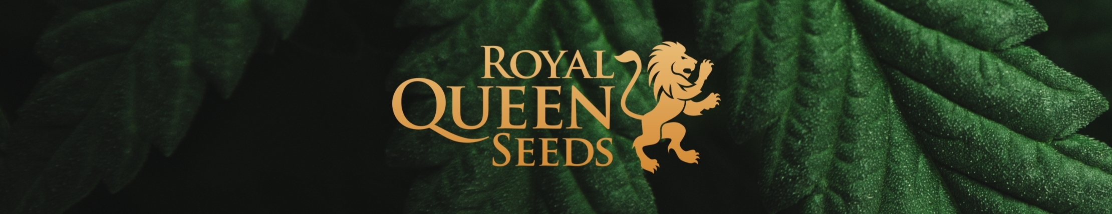 Royal Queen Seeds